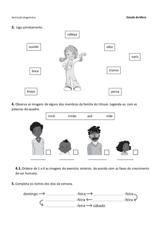 Avaliação diagnóstica Estudo do Meio
3. Liga corretamente.
4. Observa as imagens de alguns dos membros da família do Ulisses. Legenda-as com as
palavras do quadro.
_________ _________ ___________ __________
4.1. Ordena de 1 a 4 as imagens do exercício anterior, de acordo com as fases do crescimento
do ser humano.
5. Completa os nomes dos dias da semana.
irmã irmão avô mãe
cabeça
braço perna
nariz
tronco
ouvido olho
boca
 