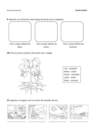 Avaliação diagnóstica Estudo do Meio
9. Desenha um animal em cada espaço de acordo com as legendas.
Tem o corpo coberto de
pelos.
Tem o corpo coberto de
penas.
Tem o corpo coberto de
escamas.
10. Pinta as partes da planta de acordo com o código.
11. Legenda as imagens com os nomes das estações do ano.
__________________ _________________ _________________ __________________
raiz – castanho
folhas – verde
frutos – vermelho
caule – verde
flores – amarelo
 