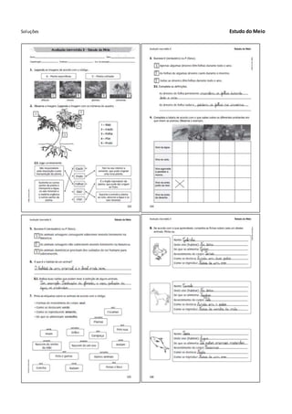 Soluções Estudo do Meio
 