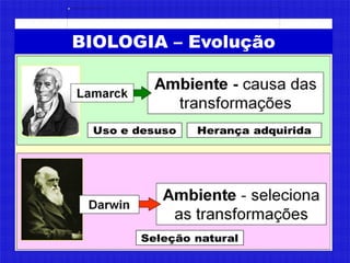 BIOLOGIA – Evolução
 