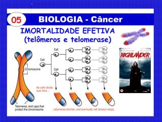 BIOLOGIA - Câncer05
IMORTALIDADE EFETIVA
(telômeros e telomerase)
 