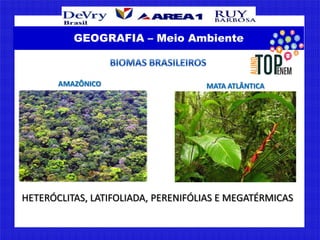 AMAZÔNICO MATA ATLÂNTICA
HETERÓCLITAS, LATIFOLIADA, PERENIFÓLIAS E MEGATÉRMICAS
GEOGRAFIA – Meio Ambiente
 