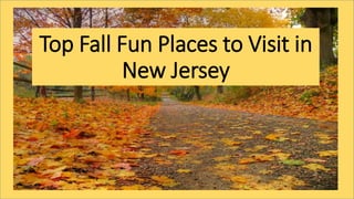 Top Fall Fun Places to Visit in
New Jersey
 