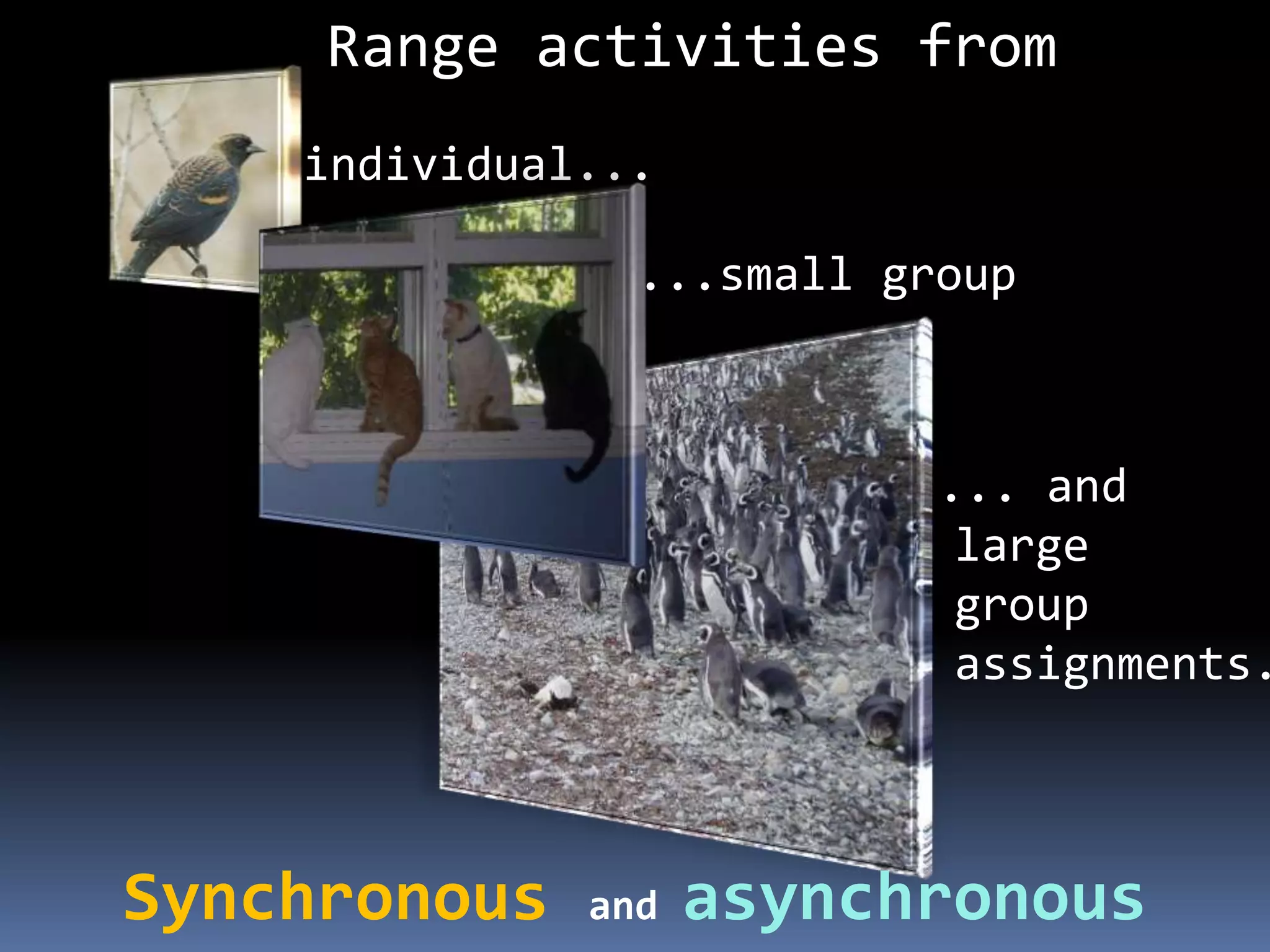 Range activities from
individual...
...small group
... and
large
group
assignments.
Synchronous and asynchronous
 
