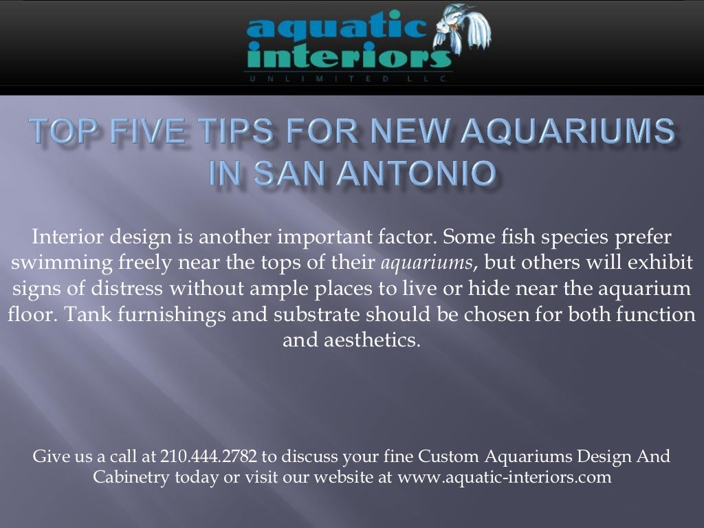 Tips For New Aquariums In San Antonio - Tips For New Aquariums In San Antonio 3 1024 Tips For New Aquariums In San Antonio - Tips For New Aquariums In San Antonio 3 1024