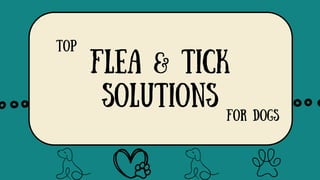 Flea & Tick
Solutions
Top
for Dogs
 