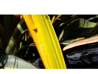 Top Forty Photography