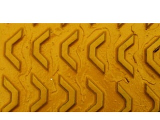 Top Forty Photography