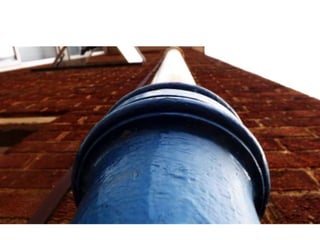 Top Forty Photography