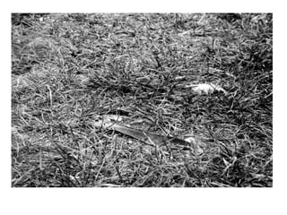 Top Forty Photography