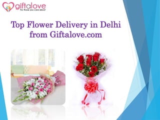 Top Flower Delivery in Delhi
from Giftalove.com
 