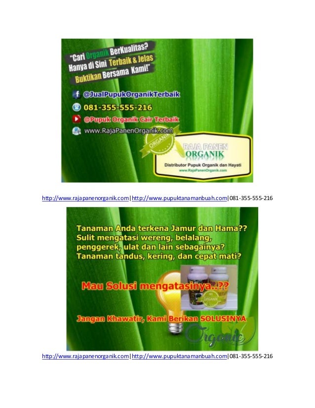 081-355-555-216 Fungisida Organik Untuk Padi, Fungisida ...