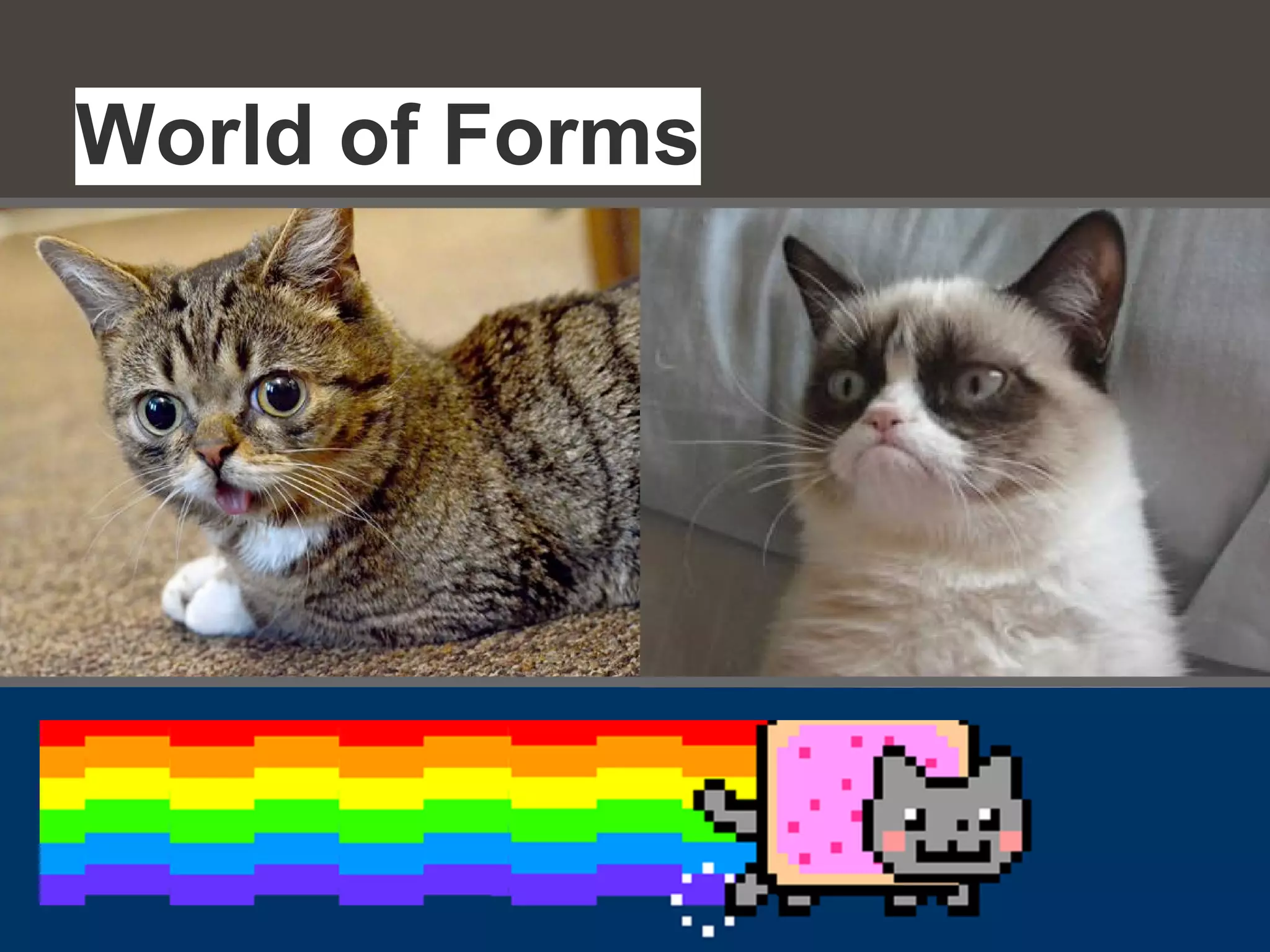 World of Forms
 