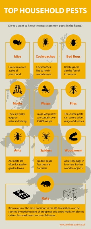 Top 10 household pests