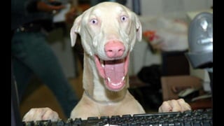 33© 2018 Rogue Wave Software, Inc. All Rights Reserved.
 