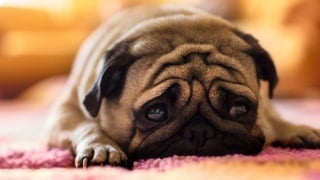 34© 2018 Rogue Wave Software, Inc. All Rights Reserved.
 