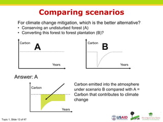 Topic 1, Slide 13 of 47
Comparing scenarios
Years
Carbon
A
For climate change mitigation, which is the better alternative?
• Conserving an undisturbed forest (A)
• Converting this forest to forest plantation (B)?
Carbon emitted into the atmosphere
under scenario B compared with A =
Carbon that contributes to climate
change
Answer: A
Years
Carbon
Years
Carbon
B
 