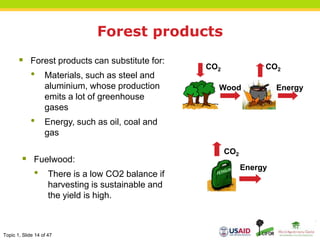 Topic 1, Slide 14 of 47
Forest products
Energy
CO2
CO2
Wood
Energy
CO2
 Forest products can substitute for:
• Materials, such as steel and
aluminium, whose production
emits a lot of greenhouse
gases
• Energy, such as oil, coal and
gas
 Fuelwood:
• There is a low CO2 balance if
harvesting is sustainable and
the yield is high.
 