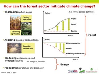 Topic 1, Slide 15 of 47
How can the forest sector mitigate climate change?
 Producing biomaterials and bioenergy
 Reducing emissions caused
by forest activities Less energy, oil, fertilisers...
 Increasing carbon stocks
Reducing
deforestation
Developing
agroforestry
Creating
plantations
 Avoiding losses of carbon stocks
Forest
Energy
(It is NOT a political definition)
Years
Carbon
Project
Baseline
Benefit
Years
Carbon
With conservation
Baseline (Deforestation)
Benefit
 