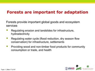 Topic 1, Slide 17 of 47
Forests are important for adaptation
Forests provide important global goods and ecosystem
services
 Regulating erosion and landslides for infrastructure,
hydroelectricity
 Regulating water cycle (flood reduction, dry season flow
conservation) for infrastructure, settlements
 Providing wood and non-timber food products for community
consumption or trade, and health
 