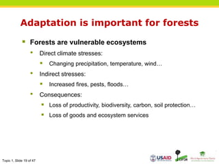 Topic 1, Slide 19 of 47
Adaptation is important for forests
 Forests are vulnerable ecosystems
• Direct climate stresses:
 Changing precipitation, temperature, wind…
• Indirect stresses:
 Increased fires, pests, floods…
• Consequences:
 Loss of productivity, biodiversity, carbon, soil protection…
 Loss of goods and ecosystem services
 