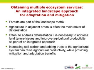 Topic 1, Slide 22 of 47
Obtaining multiple ecosystem services:
An integrated landscape approach
for adaptation and mitigation
 Forests are part of the landscape matrix
 Agriculture in adjacent areas is often the main driver of
deforestation
 Often, to address deforestation it is necessary to address
land tenure issues and improve agricultural productivity
as part of an integrated approach
 Increasing soil carbon and adding trees to the agricultural
system can raise agricultural productivity, while providing
mitigation and adaptation benefits
 