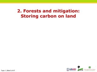 Topic 1, Slide 5 of 47
2. Forests and mitigation:
Storing carbon on land
 