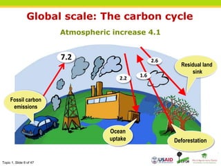 Topic 1, Slide 6 of 47
Global scale: The carbon cycle
Atmospheric increase 4.1
Fossil carbon
emissions
Ocean
uptake Deforestation
Residual land
sink
7.2 2.6
2.2
1.6
 
