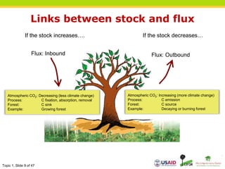 Topic 1, Slide 9 of 47
Links between stock and flux
If the stock decreases…
If the stock increases….
Flux: Outbound
Atmospheric CO2: Increasing (more climate change)
Process: C emission
Forest: C source
Example: Decaying or burning forest
Flux: Inbound
Atmospheric CO2: Decreasing (less climate change)
Process: C fixation, absorption, removal
Forest: C sink
Example: Growing forest
 