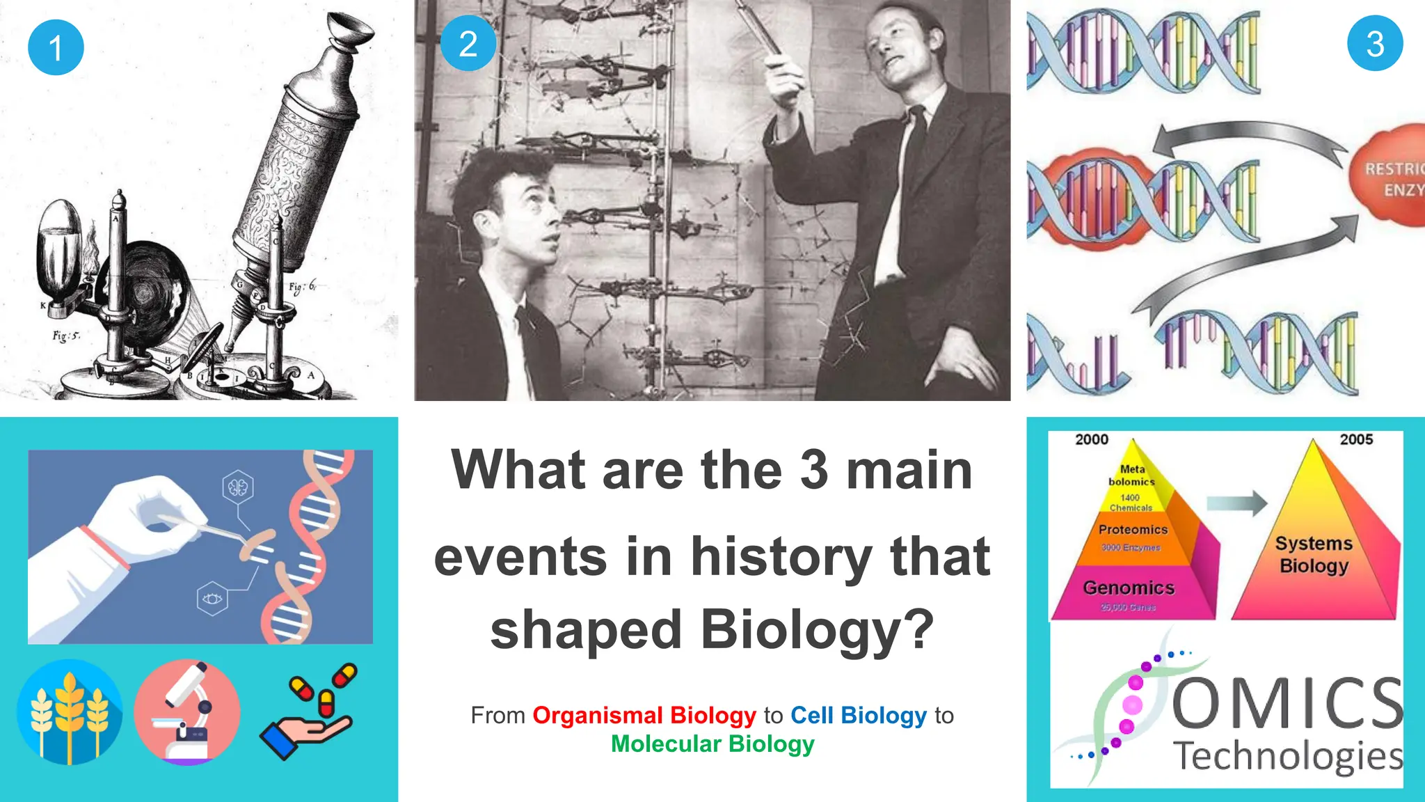 What are the 3 main
events in history that
shaped Biology?
From Organismal Biology to Cell Biology to
Molecular Biology
1 2 3
 