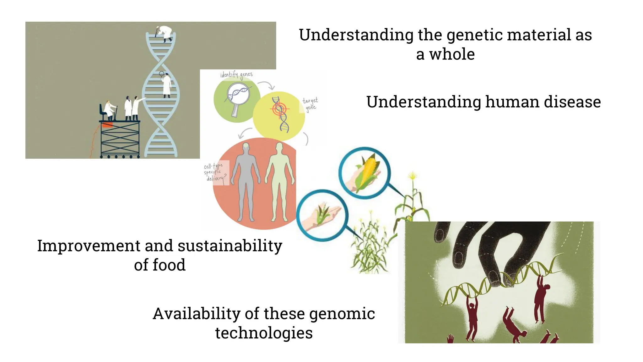 Understanding the genetic material as
a whole
Understanding human disease
Improvement and sustainability
of food
Availability of these genomic
technologies
 