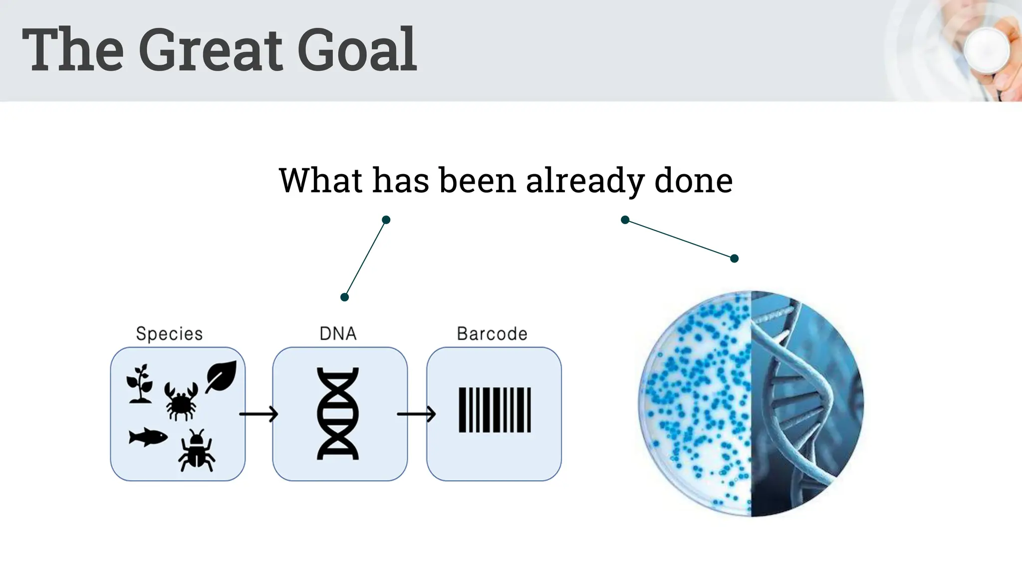 The Great Goal
What has been already done
 