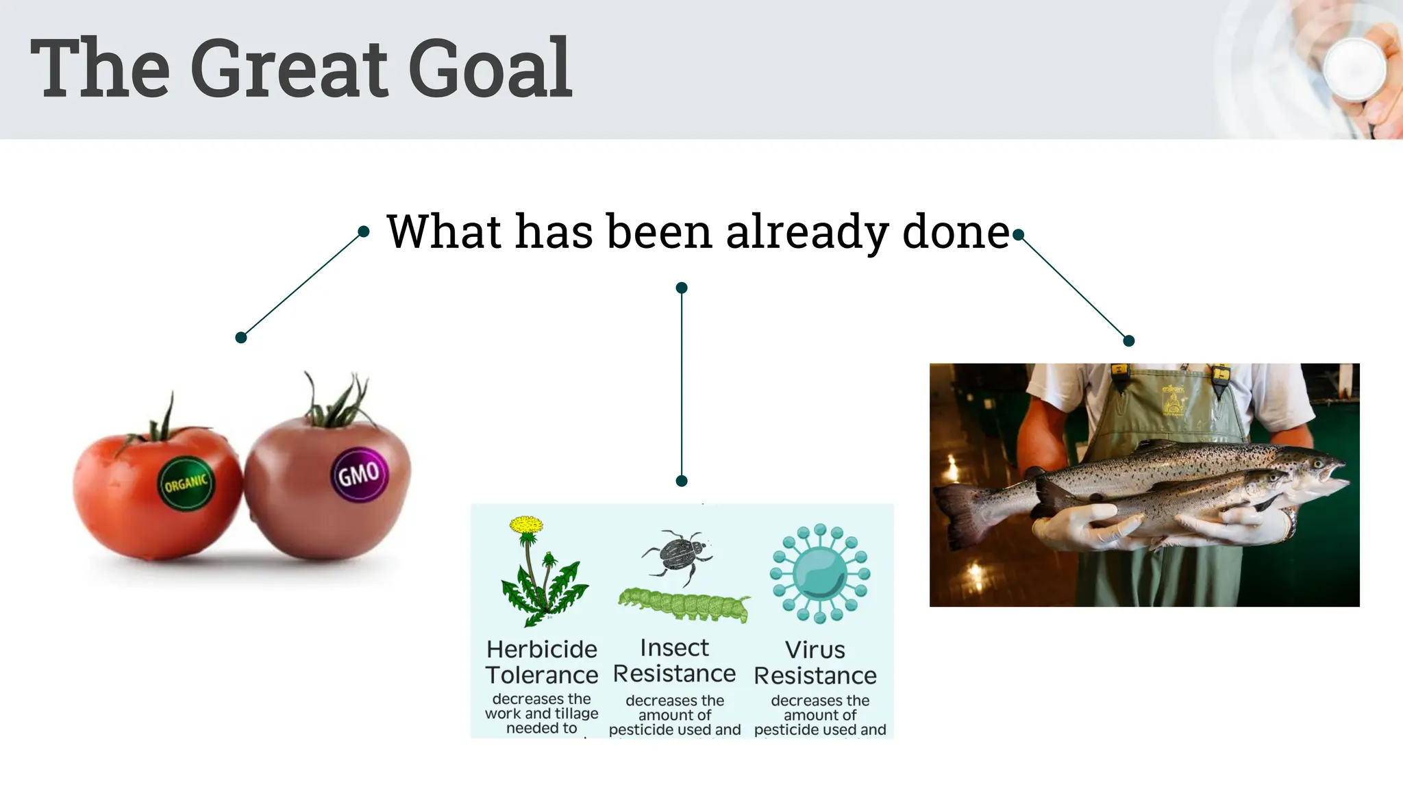The Great Goal
What has been already done
 