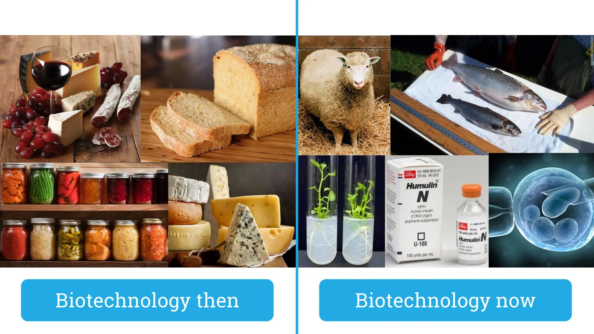 Biotechnology then Biotechnology now
 