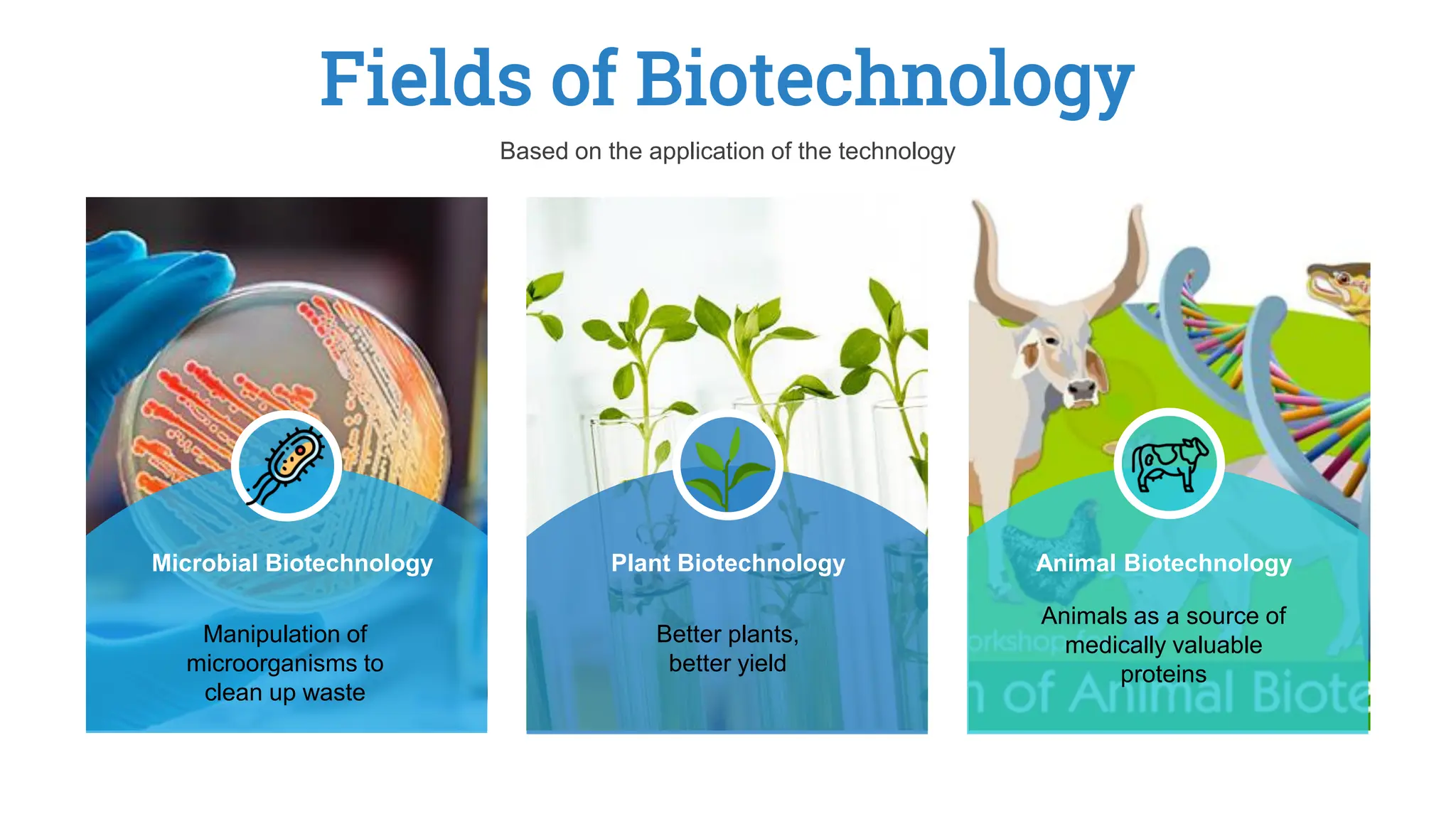 Fields of Biotechnology
Manipulation of
microorganisms to
clean up waste
Microbial Biotechnology
Better plants,
better yield
Plant Biotechnology
Animals as a source of
medically valuable
proteins
Animal Biotechnology
Based on the application of the technology
 