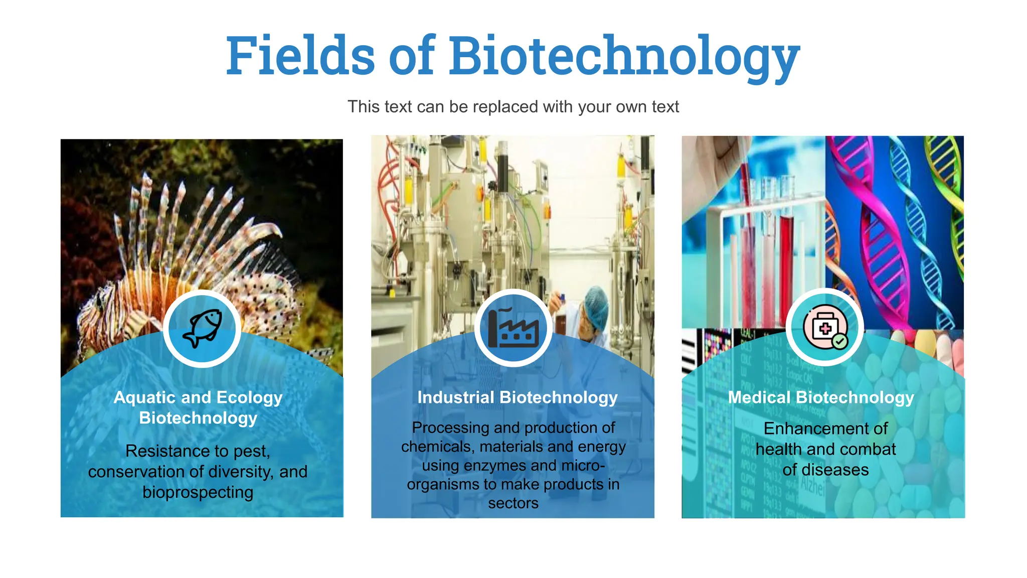 Fields of Biotechnology
This text can be replaced with your own text
Resistance to pest,
conservation of diversity, and
bioprospecting
Aquatic and Ecology
Biotechnology
Processing and production of
chemicals, materials and energy
using enzymes and micro-
organisms to make products in
sectors
Industrial Biotechnology
Enhancement of
health and combat
of diseases
Medical Biotechnology
 
