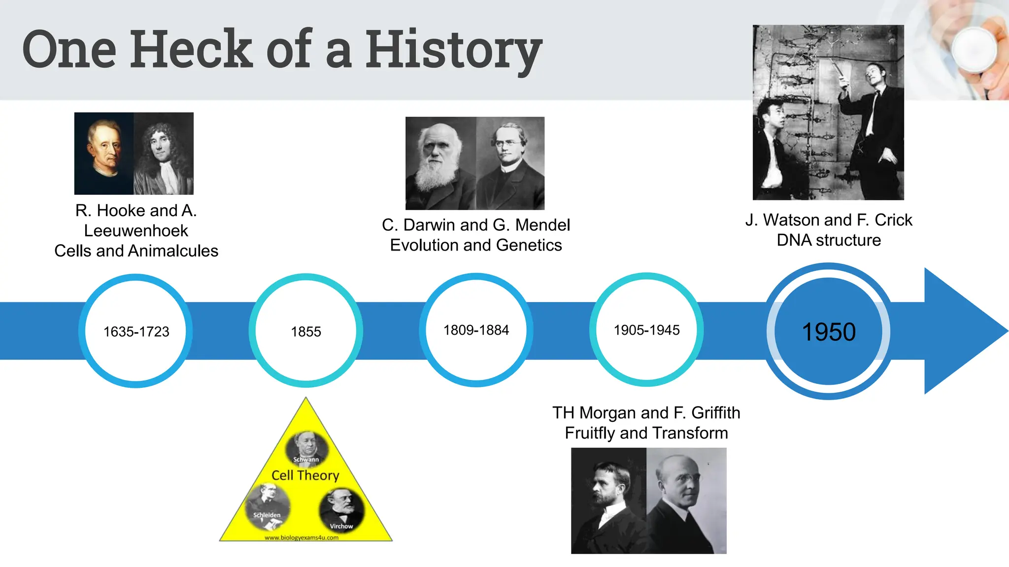 One Heck of a History
R. Hooke and A.
Leeuwenhoek
Cells and Animalcules
1635-1723
TH Morgan and F. Griffith
Fruitfly and Transform
J. Watson and F. Crick
DNA structure
C. Darwin and G. Mendel
Evolution and Genetics
1855 1809-1884 1905-1945 1950
 
