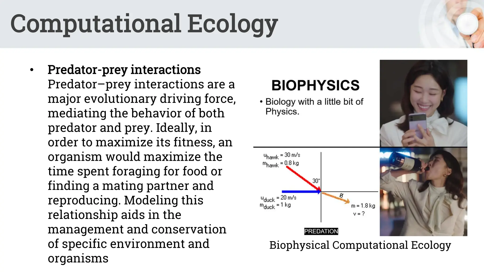 Computational Ecology
• Predator-prey interactions
Predator–prey interactions are a
major evolutionary driving force,
mediating the behavior of both
predator and prey. Ideally, in
order to maximize its fitness, an
organism would maximize the
time spent foraging for food or
finding a mating partner and
reproducing. Modeling this
relationship aids in the
management and conservation
of specific environment and
organisms
Biophysical Computational Ecology
 