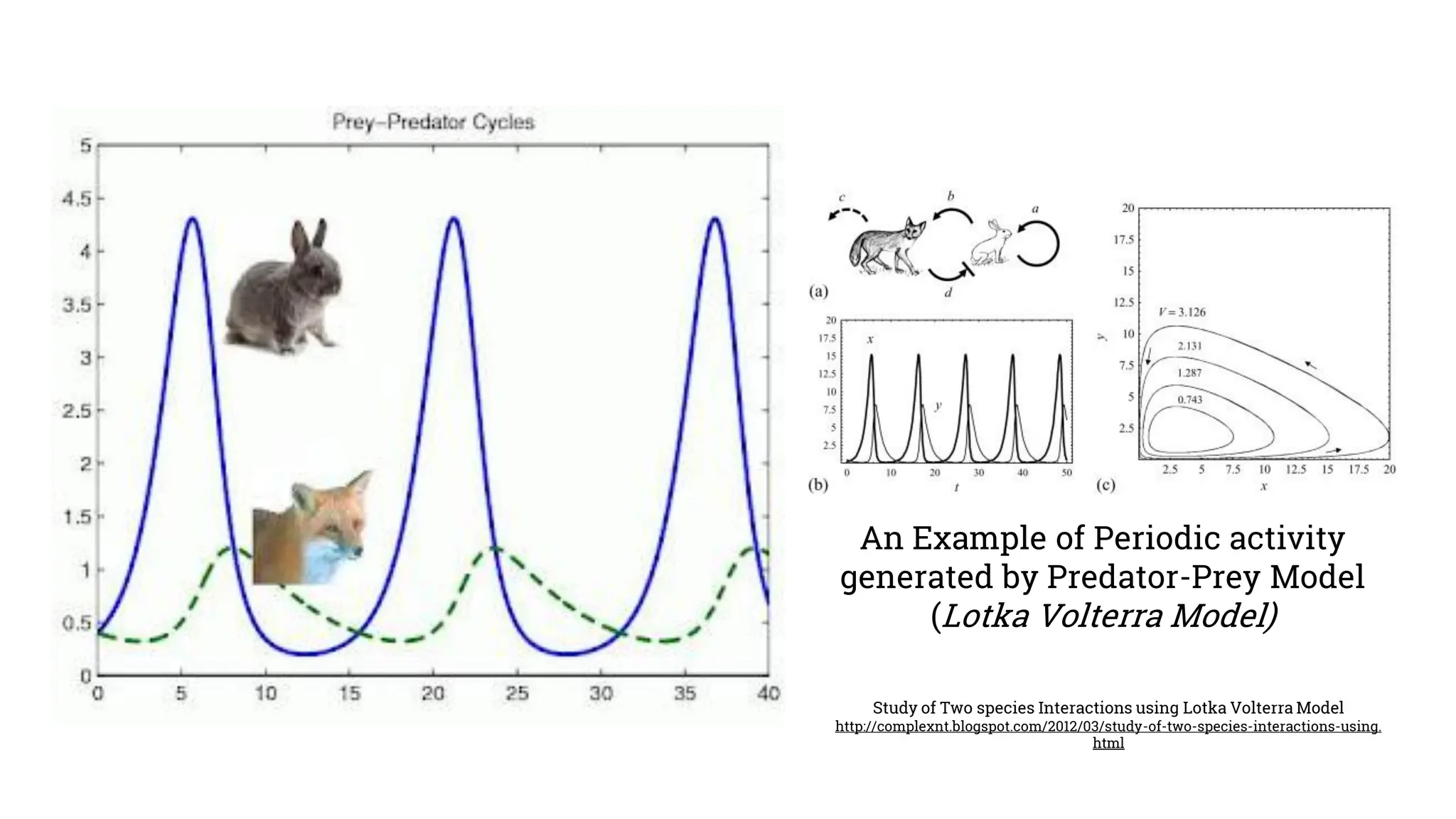 An Example of Periodic activity
generated by Predator-Prey Model
(Lotka Volterra Model)
Study of Two species Interactions using Lotka Volterra Model
http://complexnt.blogspot.com/2012/03/study-of-two-species-interactions-using.
html
 