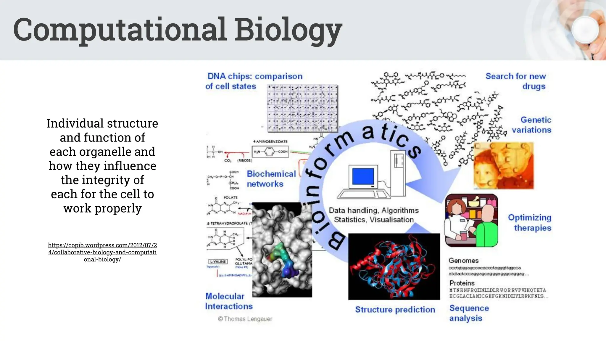 Computational Biology
Individual structure
and function of
each organelle and
how they influence
the integrity of
each for the cell to
work properly
https://copib.wordpress.com/2012/07/2
4/collaborative-biology-and-computati
onal-biology/
 