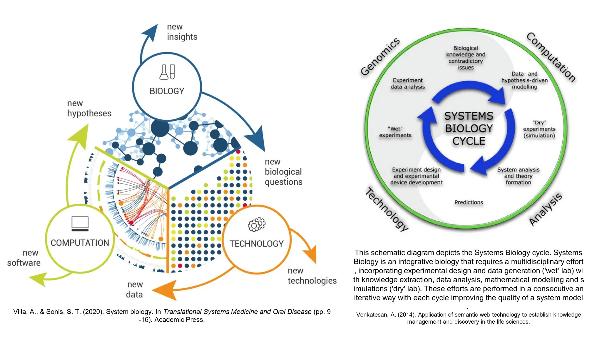 Villa, A., & Sonis, S. T. (2020). System biology. In Translational Systems Medicine and Oral Disease (pp. 9
-16). Academic Press.
This schematic diagram depicts the Systems Biology cycle. Systems
Biology is an integrative biology that requires a multidisciplinary effort
, incorporating experimental design and data generation ('wet' lab) wi
th knowledge extraction, data analysis, mathematical modelling and s
imulations ('dry' lab). These efforts are performed in a consecutive an
iterative way with each cycle improving the quality of a system model
.
Venkatesan, A. (2014). Application of semantic web technology to establish knowledge
management and discovery in the life sciences.
 