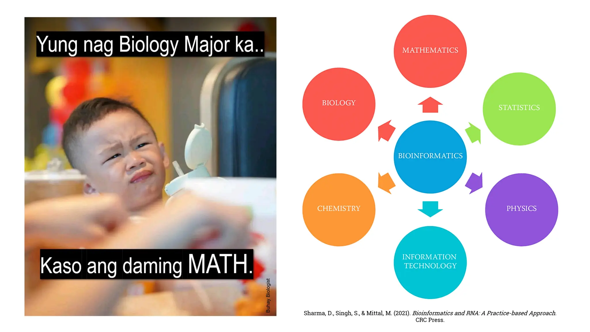 Sharma, D., Singh, S., & Mittal, M. (2021). Bioinformatics and RNA: A Practice-based Approach.
CRC Press.
Buhay
Biologist
 
