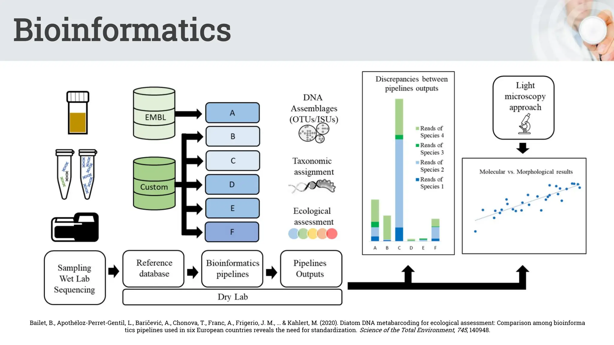 Bioinformatics
Bailet, B., Apothéloz-Perret-Gentil, L., Baričević, A., Chonova, T., Franc, A., Frigerio, J. M., ... & Kahlert, M. (2020). Diatom DNA metabarcoding for ecological assessment: Comparison among bioinforma
tics pipelines used in six European countries reveals the need for standardization. Science of the Total Environment, 745, 140948.
 