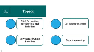 1
Topics
DNA Extraction,
purification, and
isolation
Polymerase Chain
Reaction
Gel electrophoresis
DNA sequencing
 
