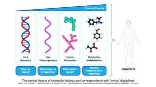 The central dogma of molecular biology and correspondence with 'omics' disciplines
(Araújo, A. M., Carvalho, F., Guedes de Pinho, P., & Carvalho, M. (2021). Toxicometabolomics: Small Molecules to Answer Big Toxicological Questions. Metabolites, 11(10), 692.)
 