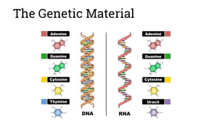 The Genetic Material
 