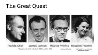 The Great Quest
Watson and Crick with their DNA model in 1953
 