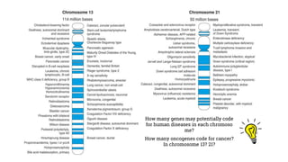 How many oncogenes code for cancer?
In chromosome 13? 21?
How many genes may potentially code
for human diseases in each chromoso
me?
 