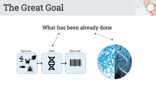 The Great Goal
What has been already done
 