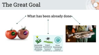 The Great Goal
What has been already done
 